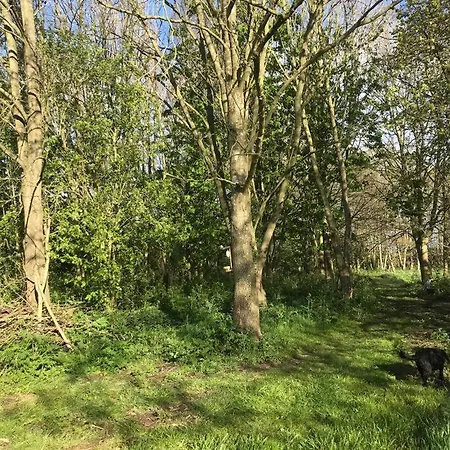 Apple Crate In The Orchard- Cozy Hideaway Stillington